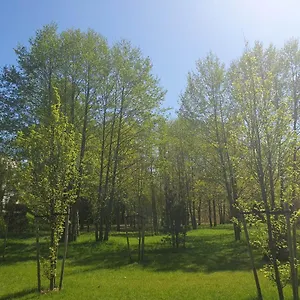 Kwatera prywatna 3 Pokojowy Lub W Mieszkaniu W Nowym Bloku, Warszawa
